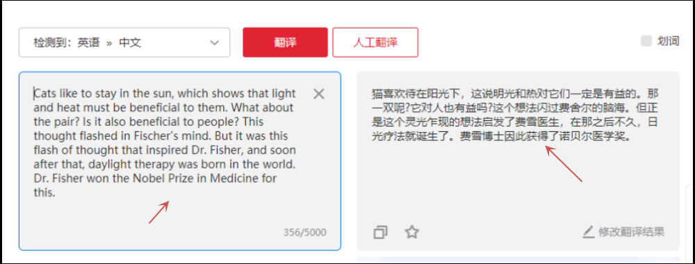 有道词典手机版快捷翻译：解锁即时翻译新境界